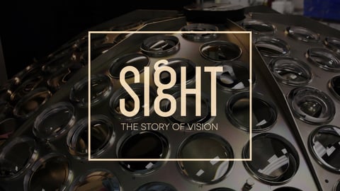 Sight: The Story Of Vision cover image