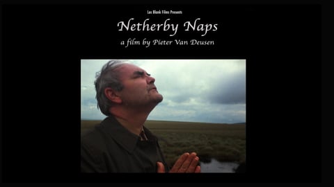 Netherby Naps cover image