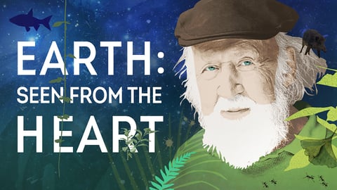 Earth: Seen From The Heart cover image