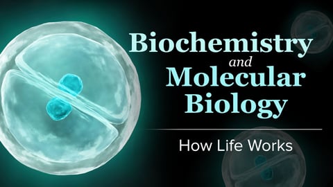 Biochemistry and Molecular Biology: How Life Works cover image