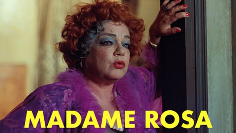Madame Rosa cover image