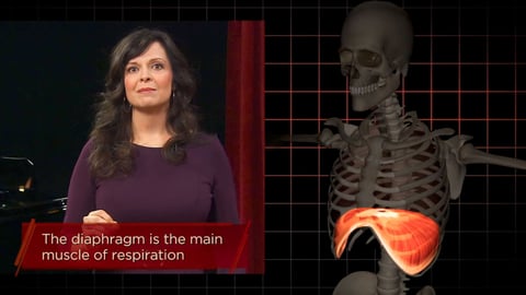 How to Sing. Episode 6, The Anatomy and Physiology of Breath cover image