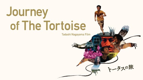 Journey of the Tortoise cover image
