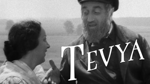 Tevya cover image