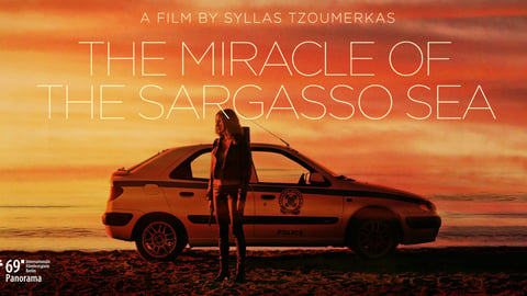 The Miracle of Sargasso Sea cover image