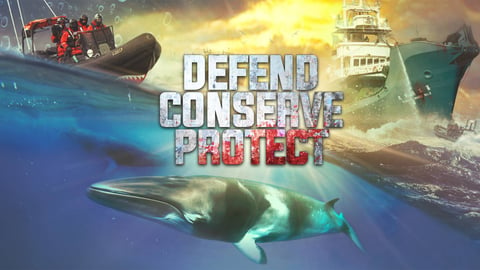 Defend Conserve Protect cover image