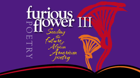 Furious Flower III cover image
