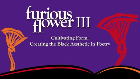 Furious Flower III. Episode 1, Cultivating Form, Creating the Black Aesthetic cover image