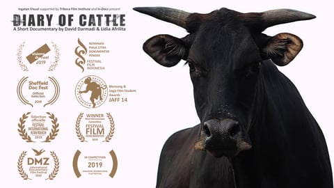 Diary of Cattle cover image