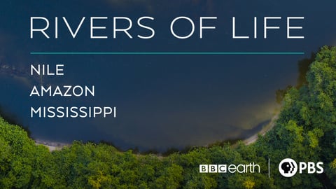 Rivers of Life cover image