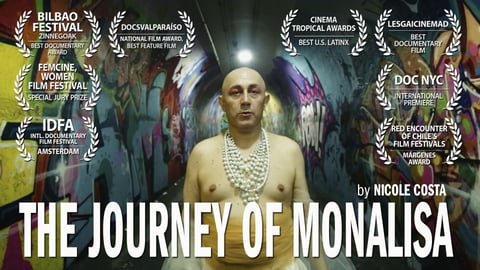 The Journey of Mona Lisa cover image