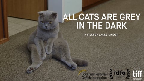 All Cats Are Grey in the Dark cover image