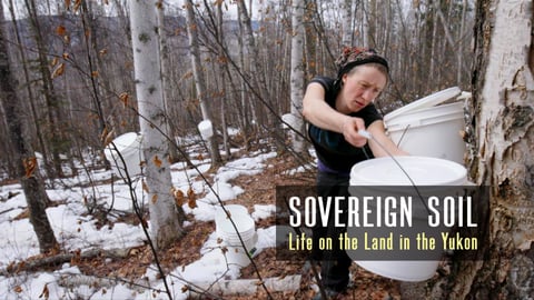 Sovereign Soil cover image