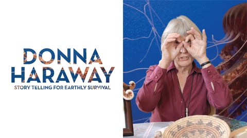 Donna Haraway: Story Telling For Earthly Survival cover image