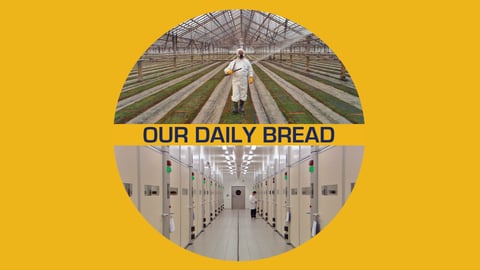 Our Daily Bread cover image
