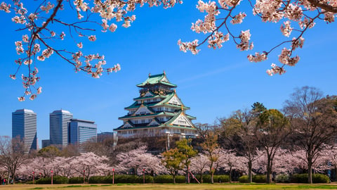 Understanding Japan: A Cultural History