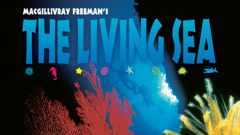 The Living Sea cover image