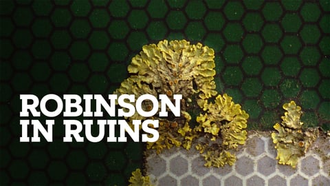 Robinson in Ruins cover image