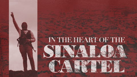 Sinaloa Cartel cover image
