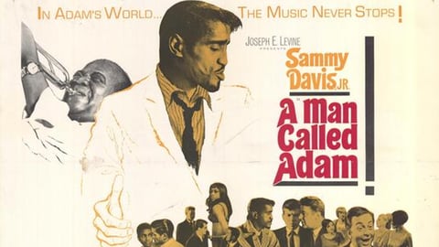 A Man Called Adam cover image