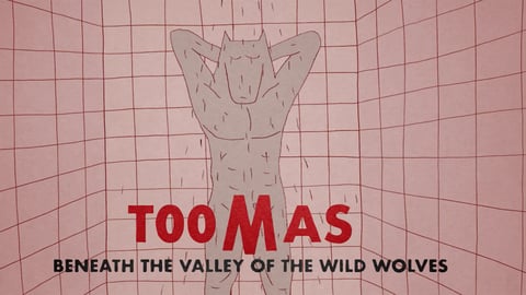 Toomas Beneath the Valley of the Wild Wolves cover image