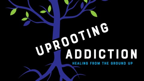 Uprooting Addiction: Healing From the Ground Up cover image