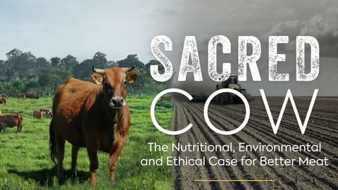 Sacred Cow cover image