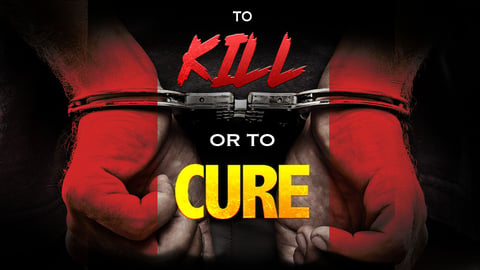 To Kill or To Cure cover image