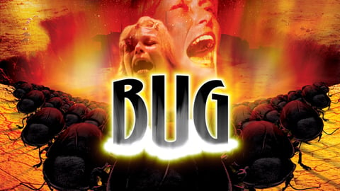 Bug cover image