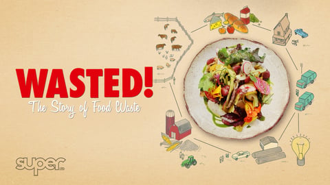 Wasted: The Story of Food Waste cover image