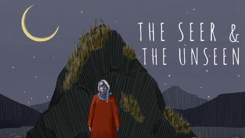 The Seer and the Unseen cover image