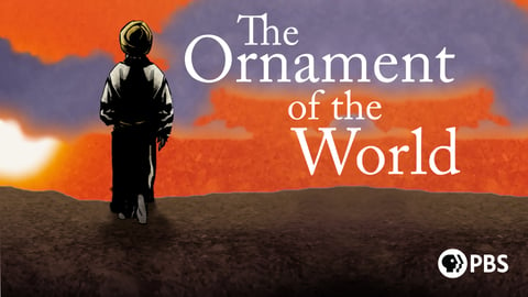Ornament of the World cover image