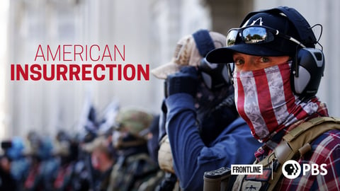 American Insurrection cover image