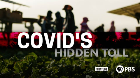 COVID's Hidden Toll cover image