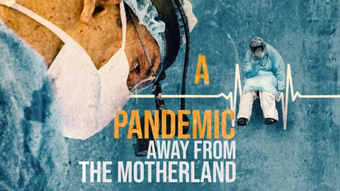 A Pandemic: Away from the Motherland cover image