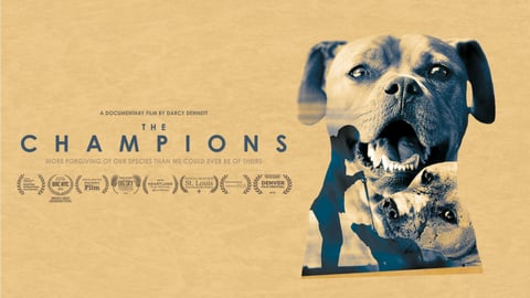The Champions cover image