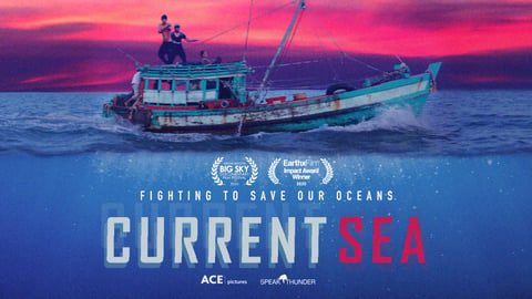 Current Sea cover image