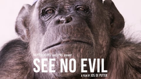 See No Evil cover image