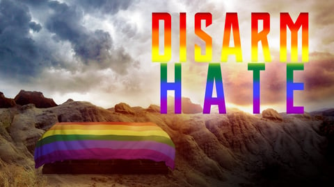 Disarm Hate cover image