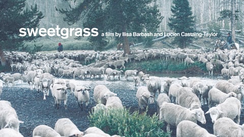 Sweetgrass cover image