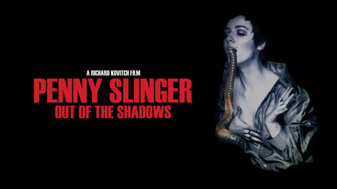 Penny Slinger: Out of the Shadows cover image