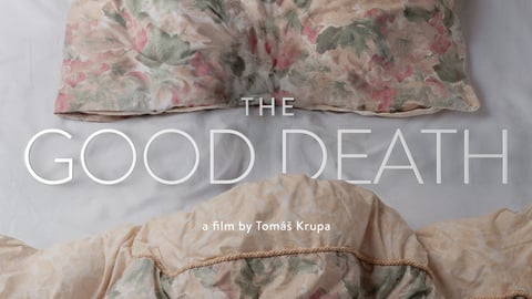 The Good Death cover image