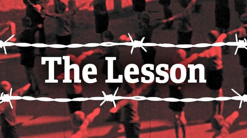 The Lesson cover image