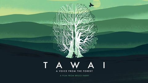 Tawai: A Voice From The Forest