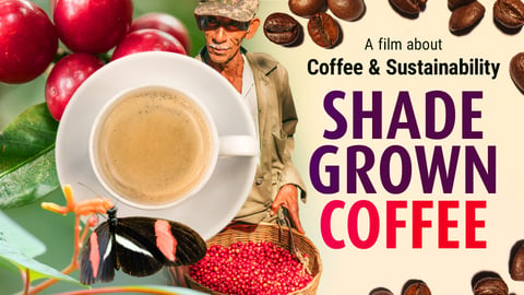 Shade Grown Coffee cover image