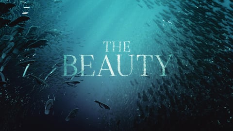The Beauty cover image