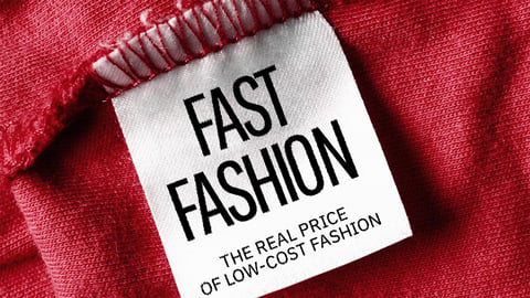 Fast Fashion cover image