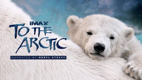 IMAX: To the Arctic cover image