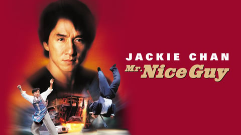 Mr. Nice Guy cover image
