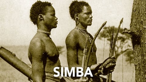 Simba cover image
